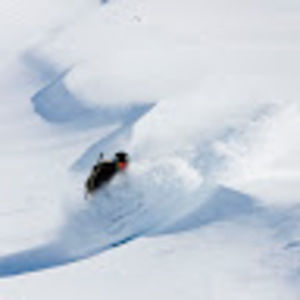 Meet your Posher, Grant